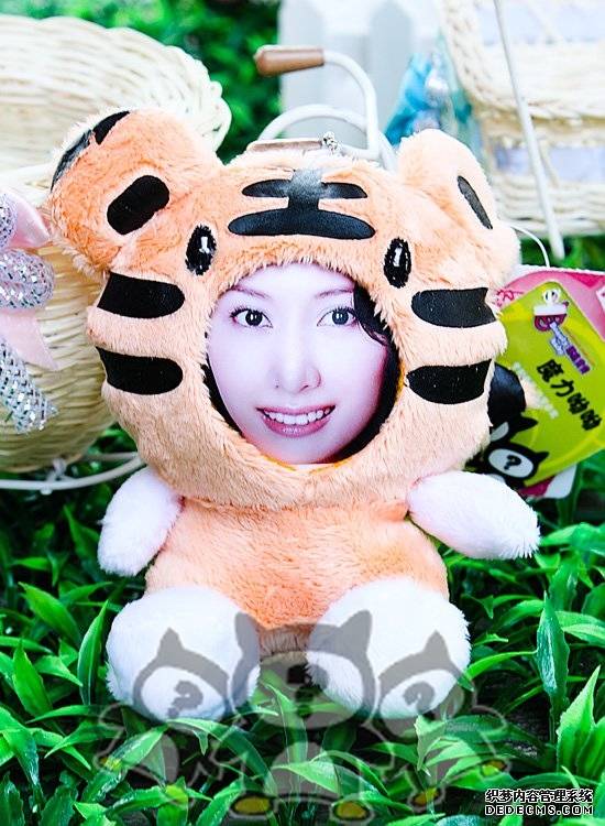 ħ湫С߼3D湫