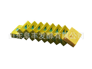ֱ޹ߴȼ