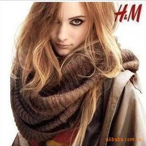 2010ﶬ¿HMԭ˿ëΧ