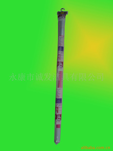 ԡ