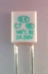 ˿250V2A145ȷȵ¶ȱ˿