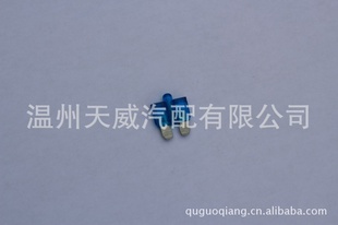 ر˿˿ͱ˿Ʊ˿