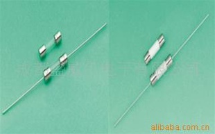 保险丝0618630HXP(图)