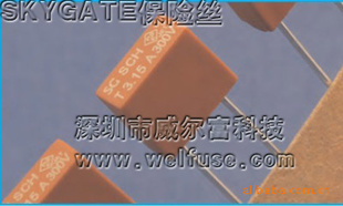 300VSKYGATESCHϵ΢ͱ˿