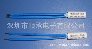 ˮͷȱ250V16A