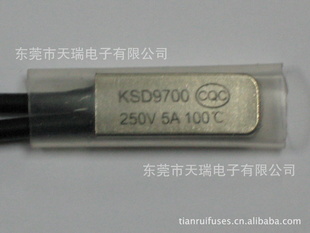 [ֻ]ȱRS9700