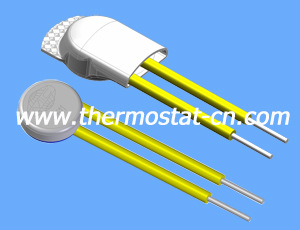 MICROTHERMF11¶ȿأF11ȱ