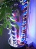 led5050LEDƴ