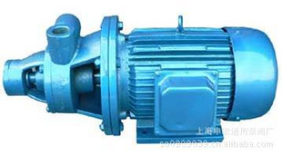 上海申欧通用泵阀厂1W2.4-10.5单级旋涡泵单级锅炉给水泵