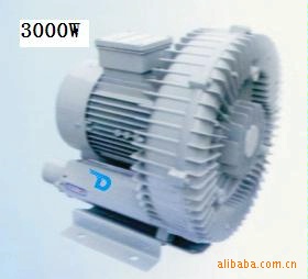бáķ3000W