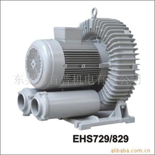 EHS629