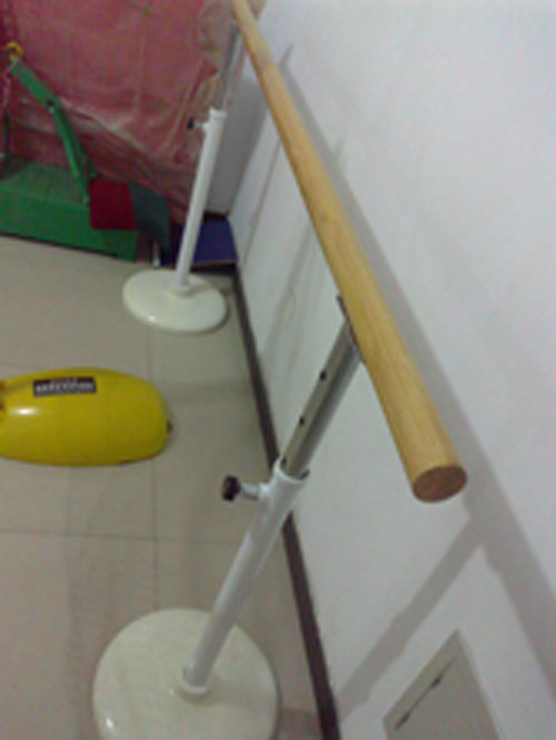 ݹұʽ赸Ѹˮ