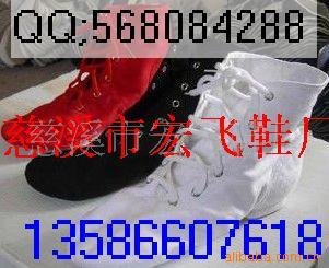 爵士靴,体操鞋,教师鞋,猫爪鞋,溜鞋)(图)
