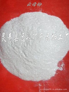 ԶƷӹ60Ŀĸ