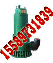 BQS100-10-7.5ɳǱˮ