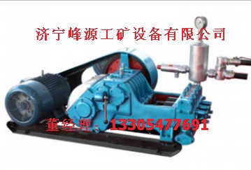 BW320ʽ׵綯ѹཬˮ