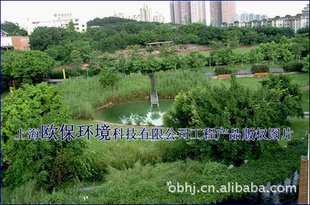 ũˮգˮ豸豸