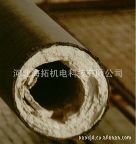 ʹó豸ʹǰ
