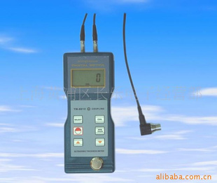 兰泰超声波测厚仪TM-8810
