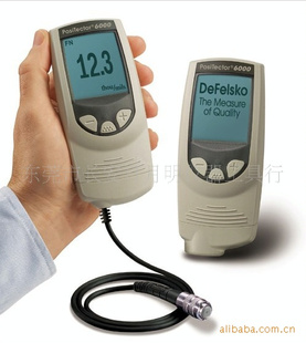 DEFELSKO6000ϵNAS1Ϳ