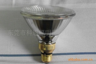 GE250W120V