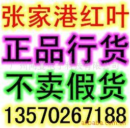 żҸۺҶͶӰĻ.л.ٻ