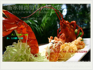 ڴôҰϺ2000g/ֻ