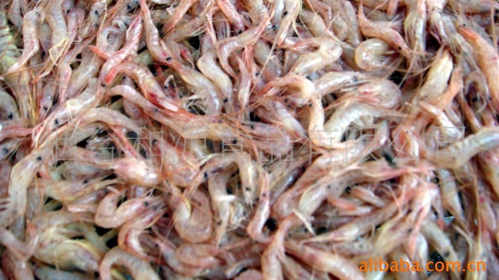 电议供应商:烟台和源食品有限公司养殖场直销小红虾/烤虾干/干烤虾新