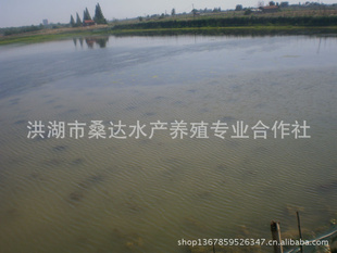 ϺϺ|СϺ|СϺ緢(ͼ)