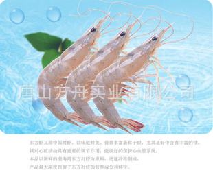 ʵĺʳƷϺ䶳Ϻ