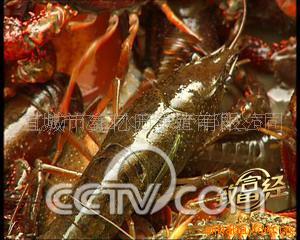 СϺC(ͼ)