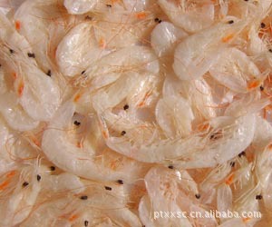 大量新鲜虾米虾仁量大从