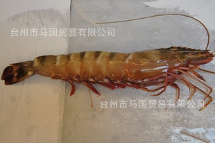 ˹ӽڴϺڻϺ