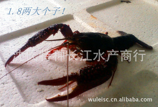 ϺСϺϺ絭ˮҰ޾Ϻ