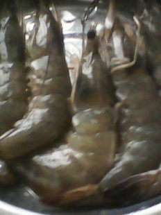 λʻ׶Ϻ24β/KG2011/09