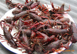 ʻСʡˮСϺ޹