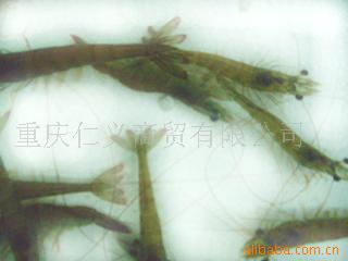 βϺ
