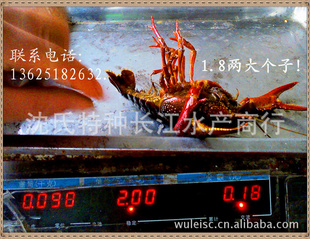 5ǮϺ(ͼ)Ϻ|Ϻ|СϺ