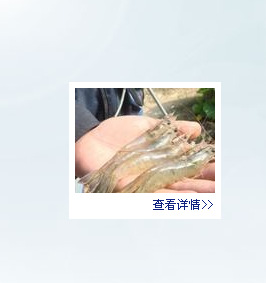 A.޹ʻ׶Ϻ