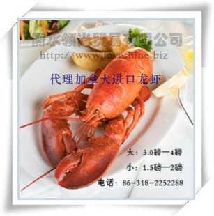 ҰôڴϺ2000g/ֻ