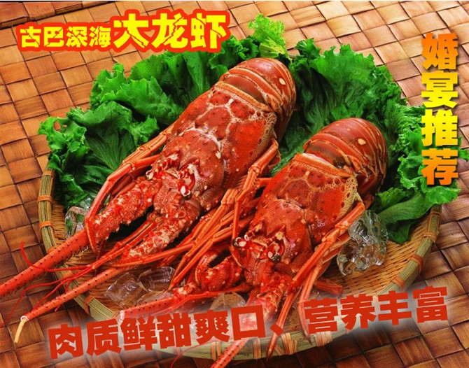 ŰϺϺ˹ϺϺ