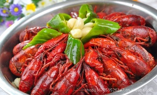 ںҰСϺ