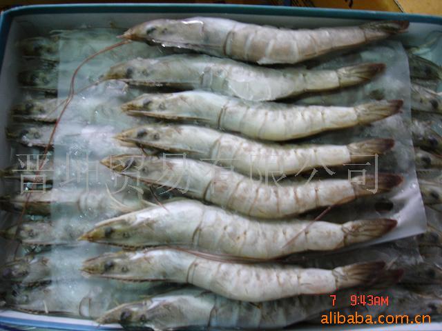 ͷϺ/SouthAmericapala