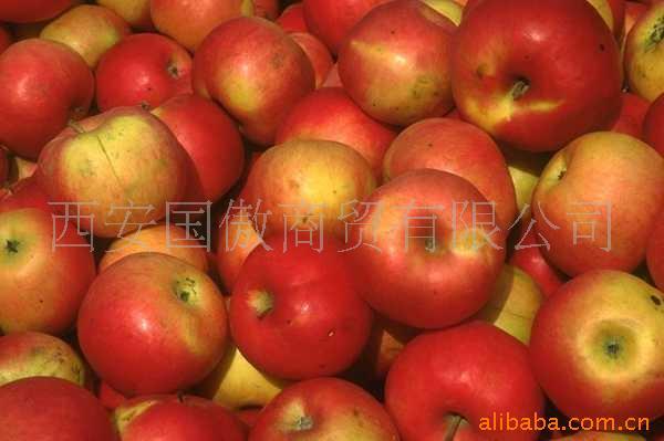 崨BƻƷʴ֭