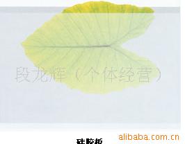 轺͸