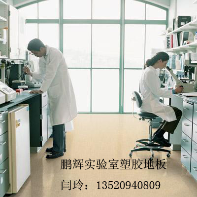 实验室PVC防碱地胶化验室地胶海灰实验室地胶