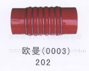 ͼ۴ŷ轺100*250