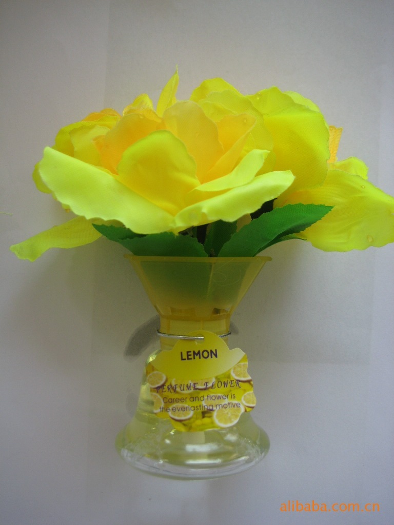 ʵõˮ¼YL-087