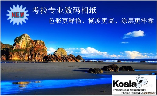 华邦原纸防水高光相片纸