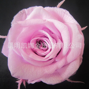 ϱʻõ20